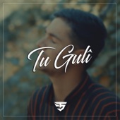 Tu Guli (feat. Murat Dağ) artwork
