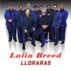 Lloraras - Single