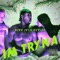 I'm Tryna - iMinikon lyrics