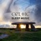 Deep Sleep Hypnosis - Celtic Chillout Relaxation Academy lyrics