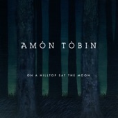 Amon Tobin - On a Hilltop Sat the Moon