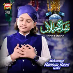 Shah E Jilaan - Single by Muhammad Hassan Raza Qadri album reviews, ratings, credits
