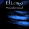 Misunderstood (feat. Kujo the Savage) - El Lenyo lyrics