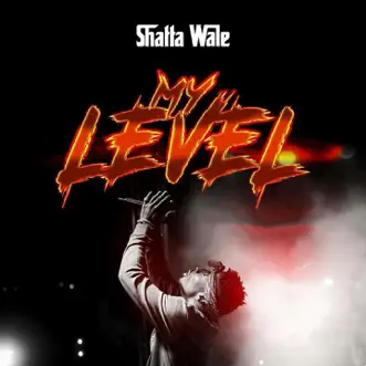 My Level by Shatta Wale song reviws