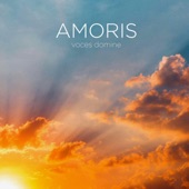 Amoris artwork