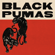 Colors - Black Pumas