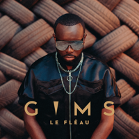 Maître Gims - LE FLÉAU artwork