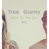 Gold In the Sky - EP