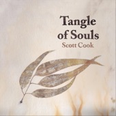 Scott Cook - Tangle of Souls