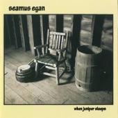 Seamus Egan - Farewell To Glasgow