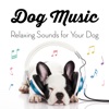 Dog Music Experience - Sleeping Music for Dogs