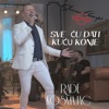 Sve Cu Dati Kucu Konje - Single