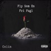 Fly Som En Fri Fugl by COLIN iTunes Track 1