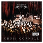 Chris Cornell - I Am the Highway