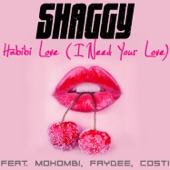 Shaggy - Habibi Love (I Need Your Love)