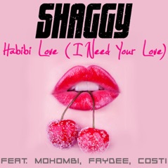 Habibi Love (I Need Your Love) [feat. Mohombi, Faydee & Costi] - Single