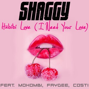 Shaggy - Habibi Love (I Need Your Love) (feat. Mohombi, Faydee & Costi) - 排舞 編舞者