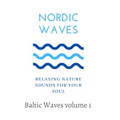 Baltic Ocean Waves, Vol. 1 (Nature Sounds) artwork