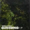 Ginseng - Tomy Loops lyrics
