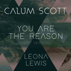 You Are the Reason (Duet Version)