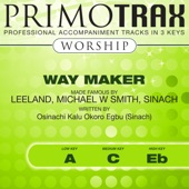Way Maker (made famous by Leeland, Michael W Smith, Sinach) [Worship Primotrax] [Performance Tracks] - EP artwork