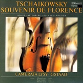 Tchaikovsky, Bloch, K. Atterberg, Puccini & Wagner: Music for Strings artwork