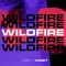 Wildfire artwork