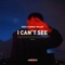 I Can't See (Extended) artwork