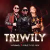 Stream & download Triwily - Single