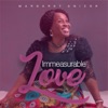 Immeasurable Love - Single