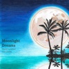 Moonlight Dreams artwork