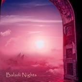Baladi Nights (feat. Sonia Slany) artwork