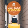 Urban Soulful Grooves Vol.2: Urban Vibes for Urban People