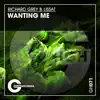 Wanting Me (Extended Mix) - Single album lyrics, reviews, download