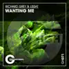 Stream & download Wanting Me (Extended Mix) - Single