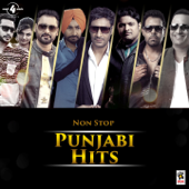 Non Stop Punjabi Hits - Various Artists