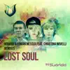 Lost Soul (Remixes) [feat. Christina Novelli] album lyrics, reviews, download