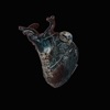 Guardians of the Heart Machine (feat. Tony Tixier, Florent Nisse & Gautier Garrigue)