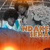 Ndakesera (feat. MB Data) - Single