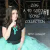 2015: A 90 Second Song Collection album lyrics, reviews, download