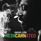 No Guns Allowed (feat. Cori B & Drake) - Snoop Lion