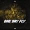 One Day Fly (feat. Donella & Bassistent) - Ness lyrics