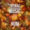 Num - TAYMACMUSIC lyrics