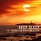 Deep Sleep - Restful Sleep Music Consort lyrics