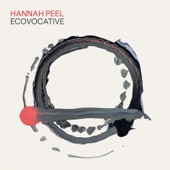 Ecovocative - Single