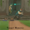 Tranquil Memories (feat. Chris Delisa & Kyle Throw) - EP