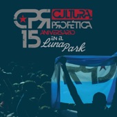 15 Aniversario en el Luna Park (En Vivo) artwork