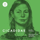 Kate Moore: Cicadidae artwork