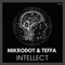 Intellect - Mikrodot & Teffa lyrics