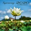 Spring 2020 Collection (Radio Edits)